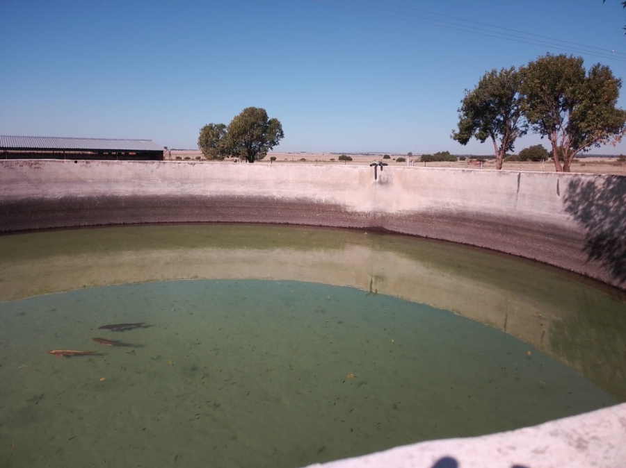 4 Bedroom Property for Sale in Bultfontein Free State